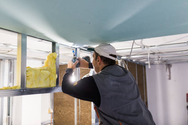 Best Insulation for New Construction  in Oaklawn Sunview, KS